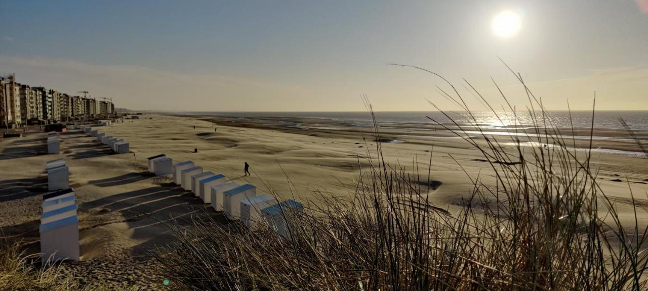 Le Zandkreek Plage & Centre - 2 Ch Coxyde Extérieur photo
