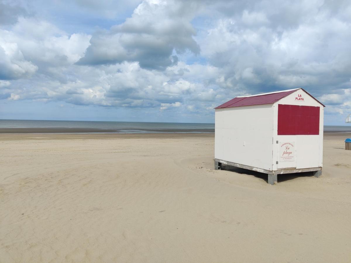 Le Zandkreek Plage & Centre - 2 Ch Coxyde Extérieur photo